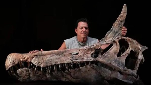 حفريات ديناصور 