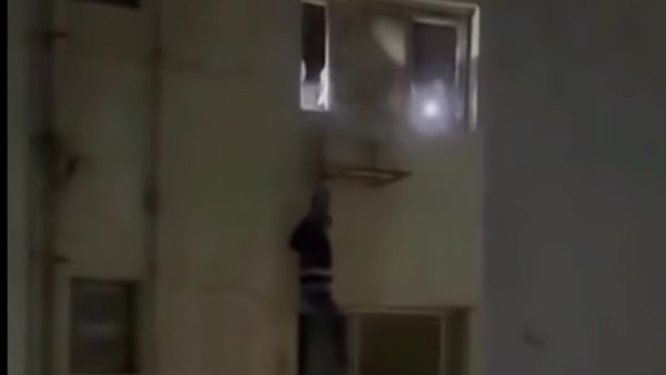 لص البساتين