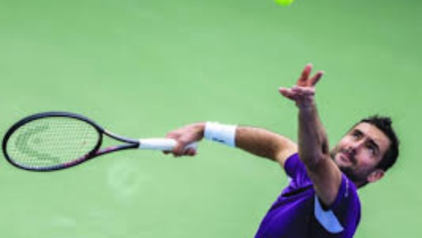 الكرواتي مارين شيليتش