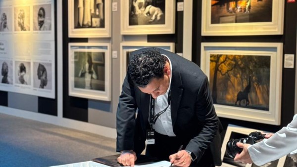 رومانى حافظ 