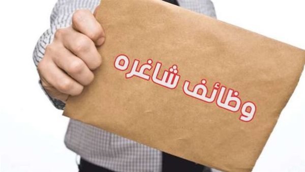 4379 وظيفة شاغرة