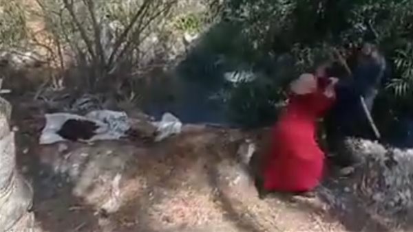 محافظ البحيرة