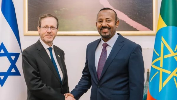 أبي أحمد وهرتسوغ 