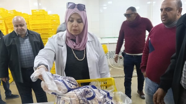 الفيوم : تكثيف حملات الطب البيطري على المجازر والأسواق وبيع اللحوم والأسماك استعداداً لشهر رمضان المبارك