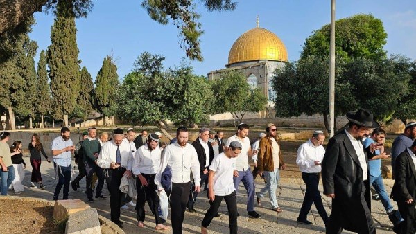 عشرات المستوطنين يقتحمون باحات الأقصى بحماية شرطة الاحتلال