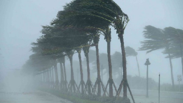 ضباب ورياح.. تعرف على طقس اليوم الأربعاء 4 فبراير 2025