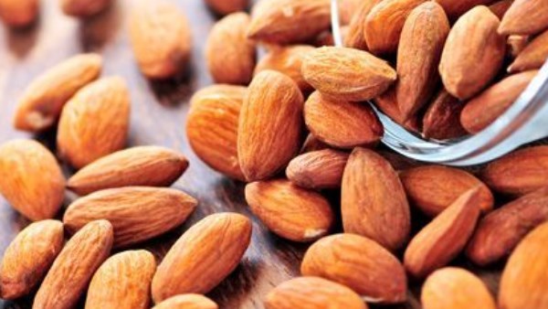 اللوز.. غذاء صحي قديم يدعم الدماغ والقلب والجسم| تفاصيل