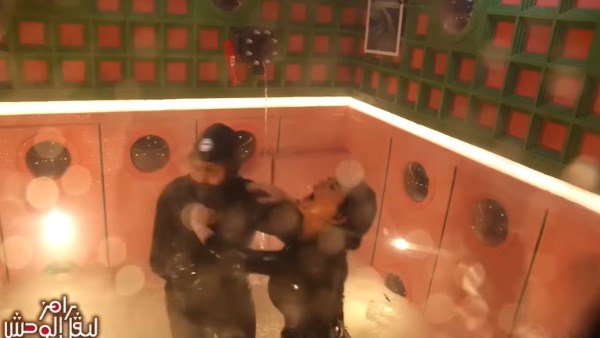 كارولين عزمي 