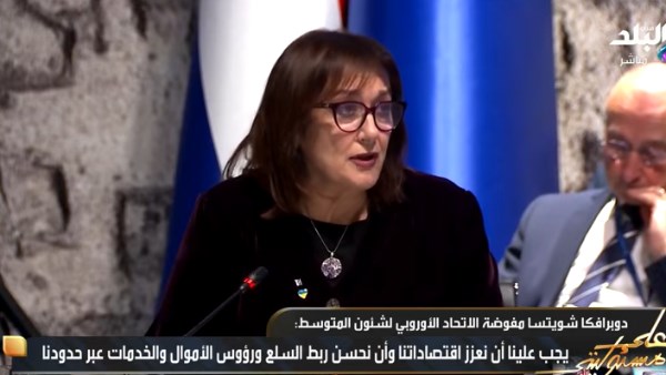 فوضة الاتحاد الأوروبي لشؤون المتوسط،