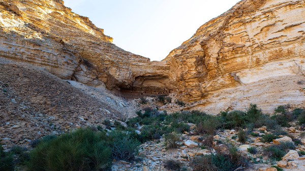  فنون صخرية - سيناء