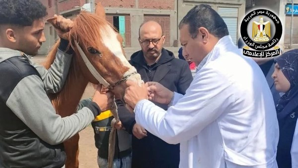 قافلة بيطرية علاجية