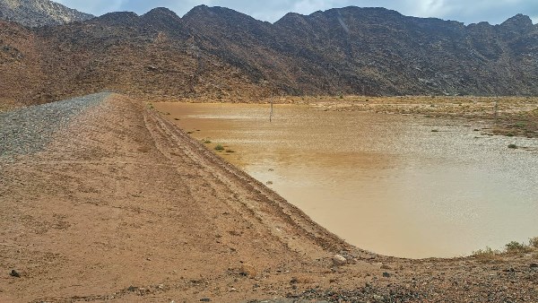 حصاد الأمطار