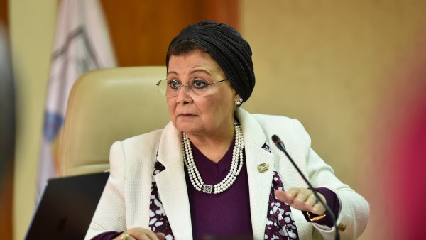 الدكتورة عبلة الالفي 