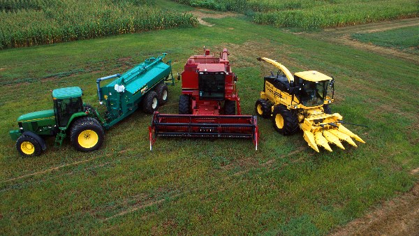 الأمن الغذائي