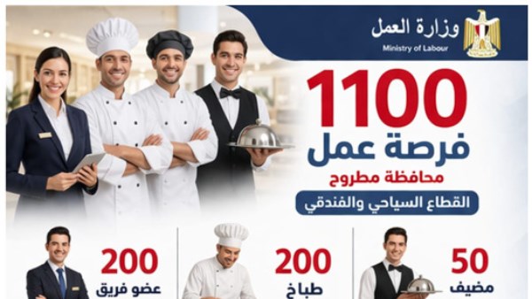 فرص العمل المتاحة 