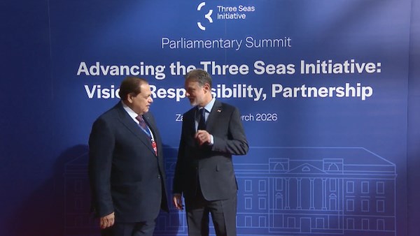 النائب محمد أبو العينين