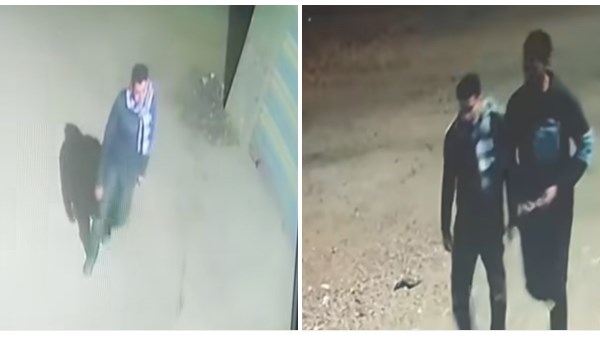 جريمة الدقهلية