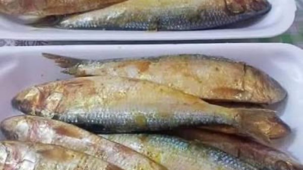 تخليل السردين