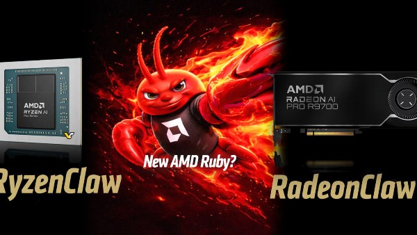 AMD 