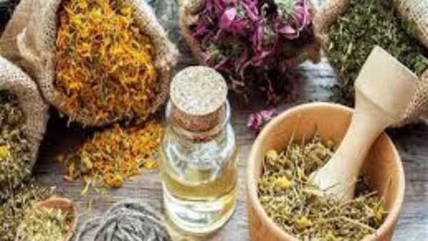 نبات بسيط موجود عند العطارين.. خبراء يكشفون عشبة تقوي المناعة وتقلل تكرار نزلات البرد والإنفلونزا 