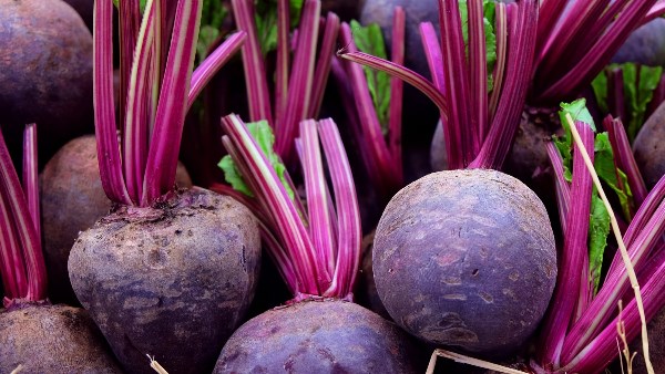 كنز غذائي.. فوائد لا تعلمها عن البنجر