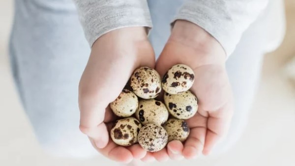 ماذا يحدث لجسمك عند تناول بيض السمان فى السحور؟