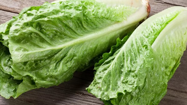 ضيف الخس إلى سحورك واكتشف ماذا يحدث لجسمك