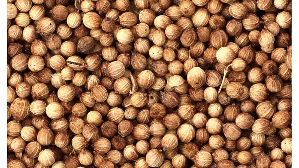 كنز صحى من الكزبرة الناشفه وكيفيه استخدامها