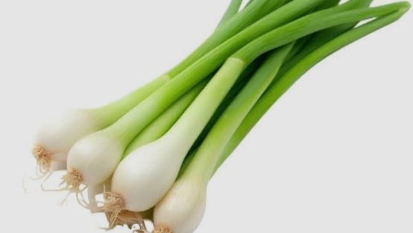 ماذا يحدث لجسمك عند تناول البصل الاخضر ؟