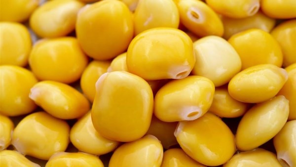 قبل العيد..ماذا يحدث لجسمك عند تناول الترمس؟