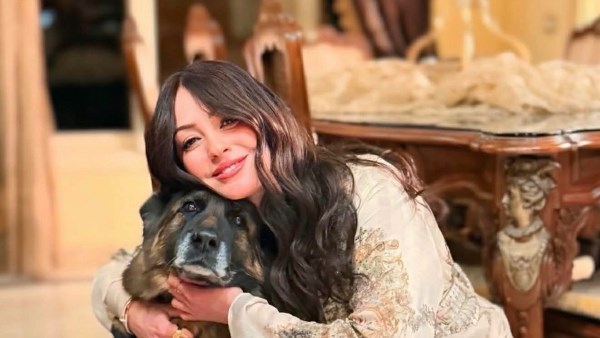  نرمين الفقى تبهر الجمهور بجمالها فى اخر ظهور لها