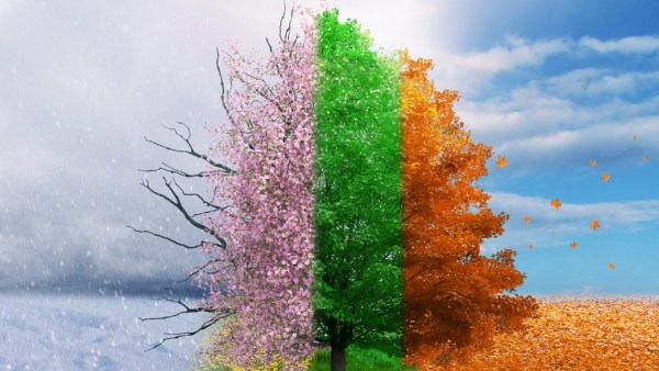 الأزهر للفتوى: تقلب فصول العام بين حر وبرد آيات كونية شاهدة على قدرة الله وحكمته