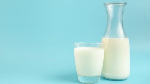 ماذا يحدث لجسمك عند شرب الحليب يوميًا؟