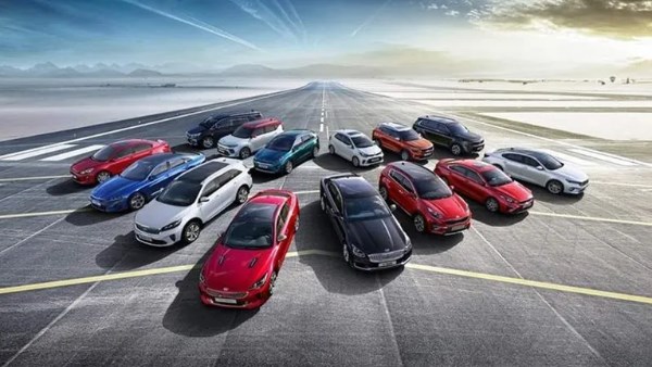 التقرير الفني يحميك.. كيف يضمن القانون مصداقية سيارات السوق المستعملة؟