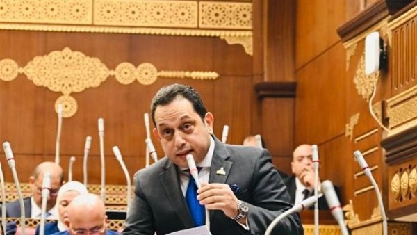  النائب محمد الجندي