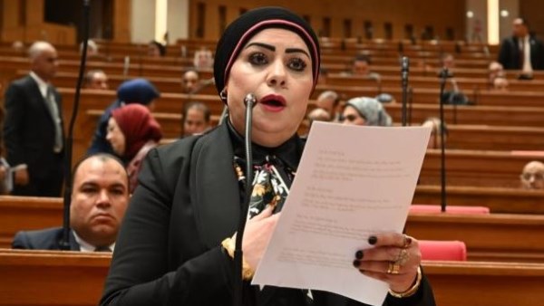 النائبة جيهان شاهين