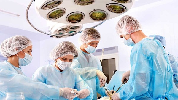 زراعة الأعضاء 