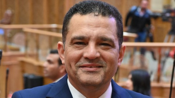 النائب أمير الجزار