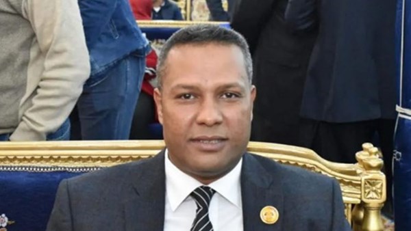 محمد حمزة، عضو مجلس الشيوخ 