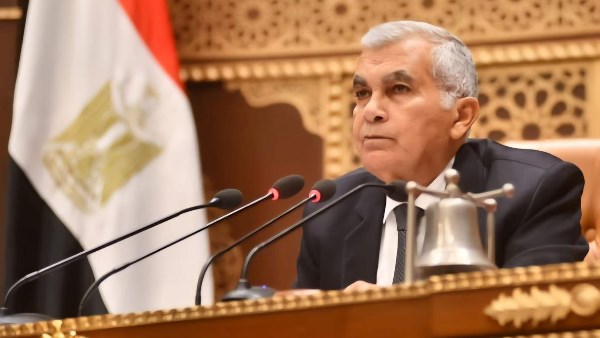  المستشار عصام فريد