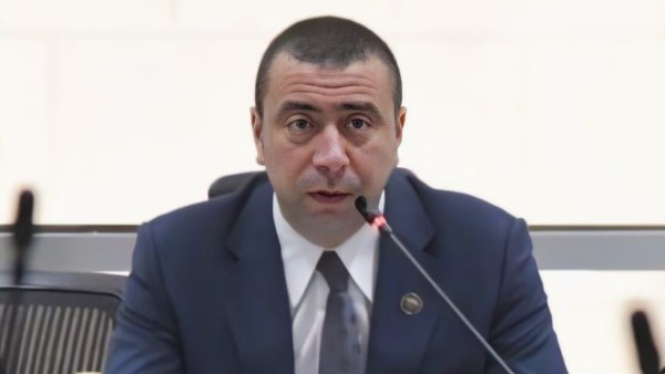 صناعة النواب