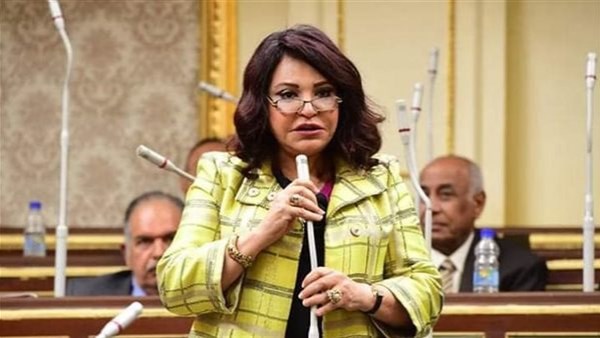 النائبة آمال عبد الحميد