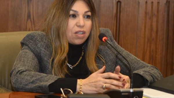 النائبة أمانى فاخر