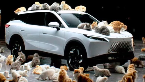 عشرات القطط تشارك في إعلان لسيارة أومودا 7 