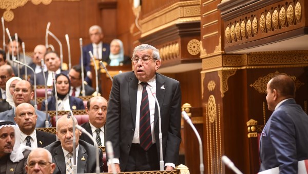  النائب علاء عبد النبي