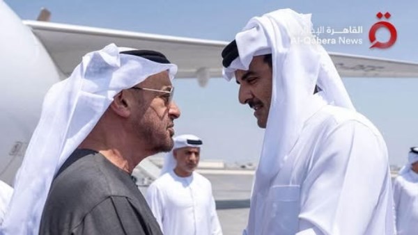 الرئيس الإماراتي وأمير قطر