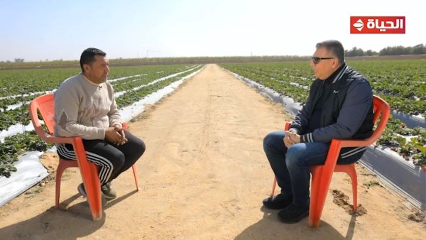 عمرو الليثي