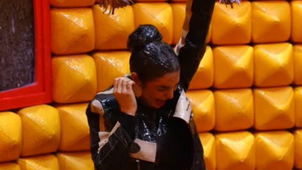 الفنانة روجينا