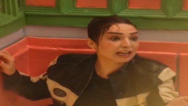 الفنانة روجينا