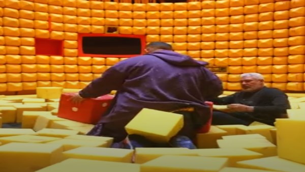 جمال عبد الحميد